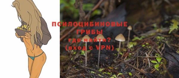 не бодяженный Абаза