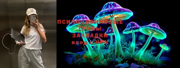 Альфа ПВП Алексин