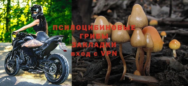 Альфа ПВП Алексин