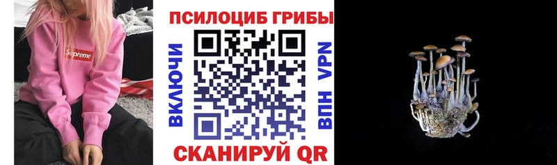 Псилоцибиновые грибы мухоморы  Красково 