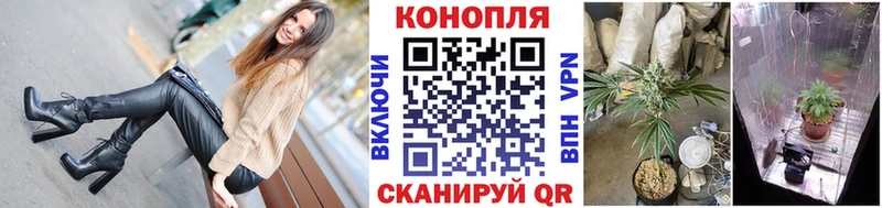 Бошки Шишки гибрид Красково
